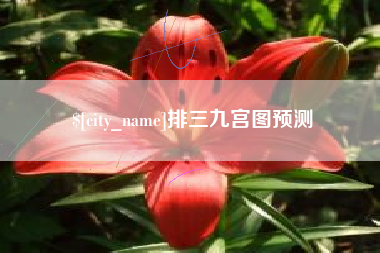 灌云排三九宫图预测