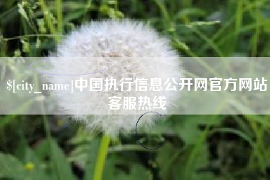 灌云中国执行信息公开网官方网站客服热线