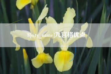 灌云九宫格优点