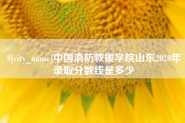 灌云中国消防救援学院山东2020年录取分数线是多少