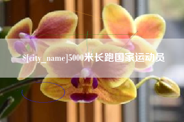 灌云5000米长跑国家运动员