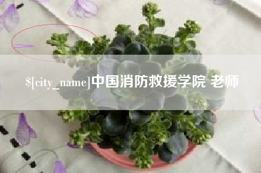 灌云中国消防救援学院 老师