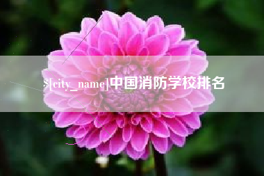 灌云中国消防学校排名