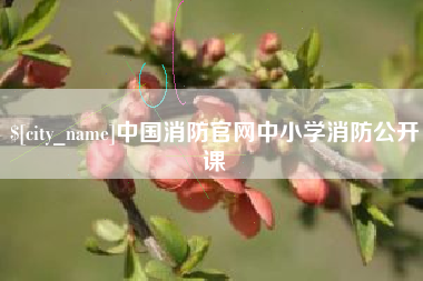 灌云中国消防官网中小学消防公开课