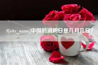 灌云中国的消防日是几月几日？