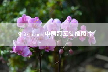 灌云中国冠军头像图片