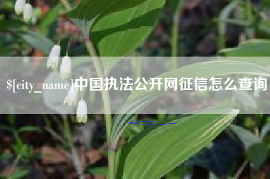 灌云中国执法公开网征信怎么查询