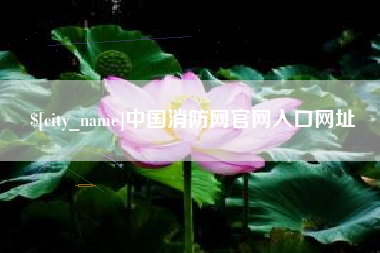 灌云中国消防网官网入口网址