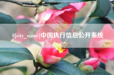 灌云中国执行信息公开系统