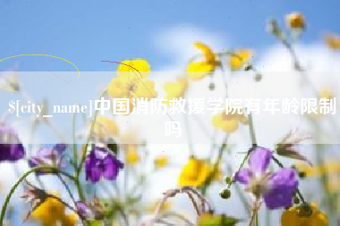 灌云中国消防救援学院有年龄限制吗
