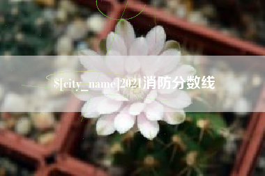 灌云2021消防分数线