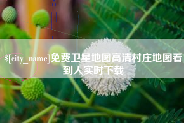 灌云免费卫星地图高清村庄地图看到人实时下载