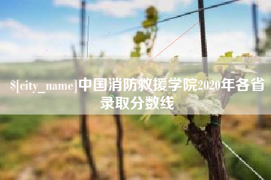 灌云中国消防救援学院2020年各省录取分数线