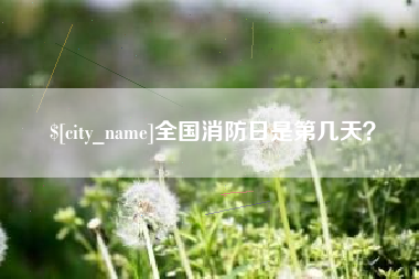 灌云全国消防日是第几天？