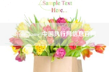 灌云中国执行网信息官网