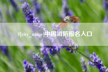 灌云中国消防报名入口