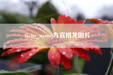 灌云九宫格龙图片