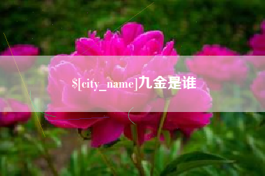 灌云九金是谁