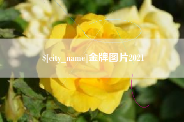 灌云金牌图片2021
