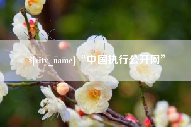 灌云“中国执行公开网”