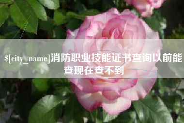 灌云消防职业技能证书查询以前能查现在查不到