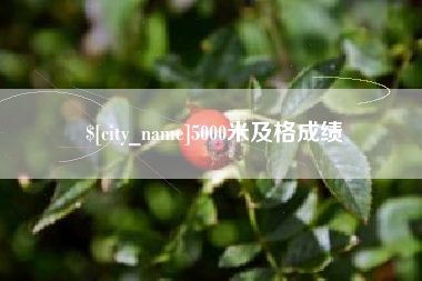 灌云5000米及格成绩