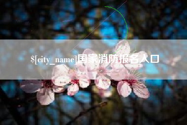 灌云国家消防报名入口