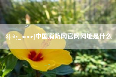 灌云中国消防网官网网址是什么