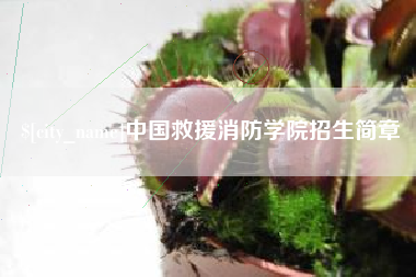 灌云中国救援消防学院招生简章