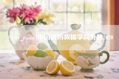 灌云中国消防救援学院分数2020