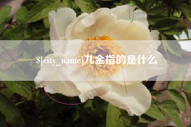 灌云九金指的是什么