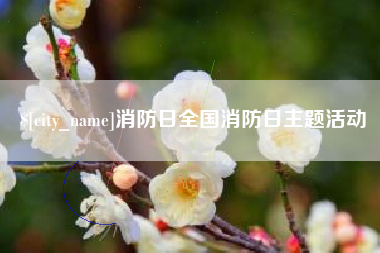灌云消防日全国消防日主题活动