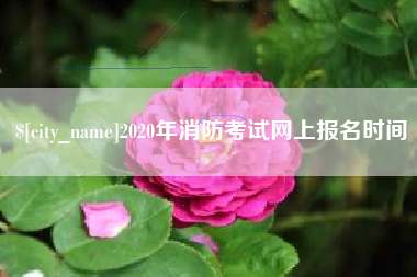 灌云2020年消防考试网上报名时间