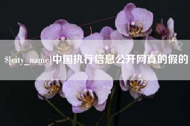 灌云中国执行信息公开网真的假的