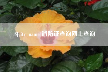 灌云消防证查询网上查询