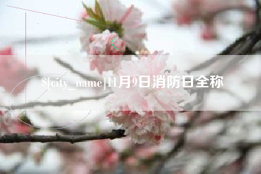 灌云11月9日消防日全称