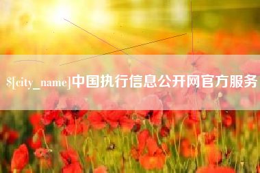 灌云中国执行信息公开网官方服务