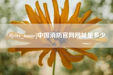 灌云中国消防官网网址是多少