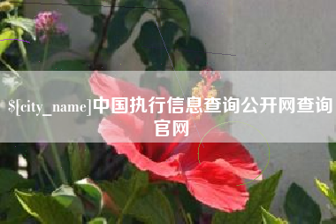 灌云中国执行信息查询公开网查询官网