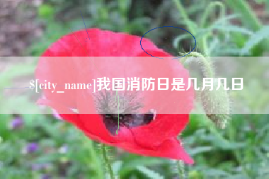 灌云我国消防日是几月几日