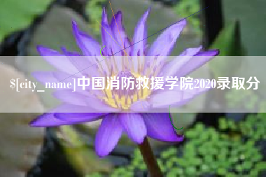 灌云中国消防救援学院2020录取分