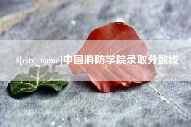 灌云中国消防学院录取分数线