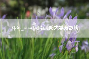 灌云河南消防大学分数线