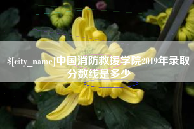 灌云中国消防救援学院2019年录取分数线是多少