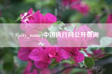 灌云中国执行网公开查询