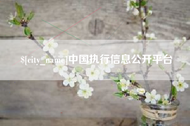 灌云中国执行信息公开平台
