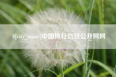 灌云中国执行信息公开网网