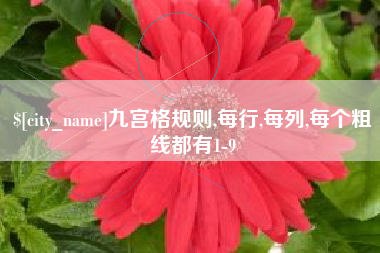 灌云九宫格规则,每行,每列,每个粗线都有1-9