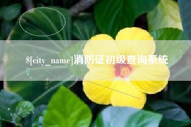 灌云消防证初级查询系统