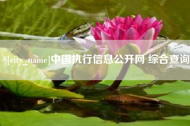 灌云中国执行信息公开网 综合查询